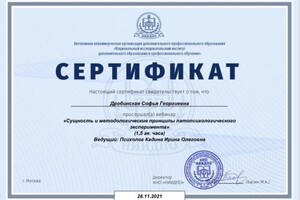 Диплом / сертификат №21 — Дробинская Софья Георгиевна