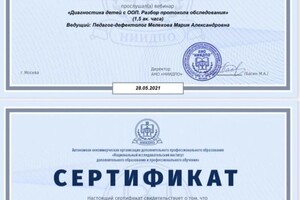 Диплом / сертификат №27 — Дробинская Софья Георгиевна