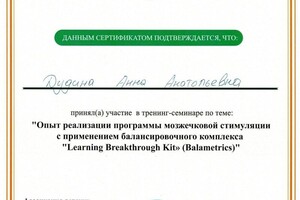 Диплом / сертификат №8 — Дудина Анна Анатольевна