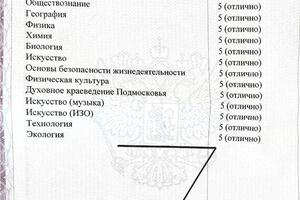 Аттестат — Дунайная Алина Васильевна