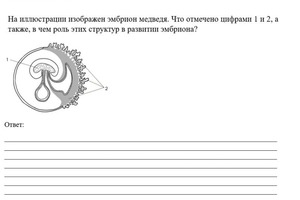 так выглядит одно из заданий в домашней работе. каждое д/з проверяется до следующего занятия, проводится работа над... — Джаппарова Эльзара Серверовна