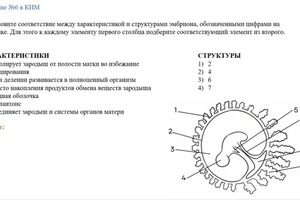 Слайд из презентации. Одновременно с учеником разбираем задание из реального ЕГЭ. — Джаппарова Эльзара Серверовна