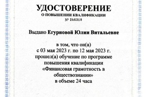 Диплом / сертификат №4 — Егурнова Юлия Витальевна