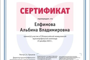 Диплом / сертификат №4 — Елфимова Альбина Владимировна