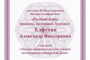 Диплом / сертификат №12 — Елфутин Александр Викторович