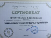 повышение квалификации — Ермакова Елена Владимировна