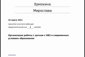 Организация работы с детьми с ОВЗ в современных условиях образования — Ермохина Мирослава Александровна