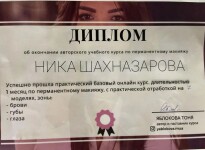 Диплом / сертификат №3 — Ермолова Ника Викторовна