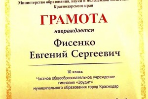 Диплом / сертификат №13 — Фисенко Евгений Сергеевич