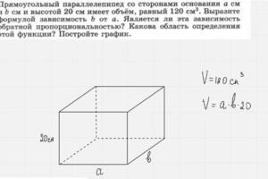 На электронную доску можно прикреплять задачи из любых сборников, писать и рисовать в режиме реального времени — Фомина Дарья Владимировна