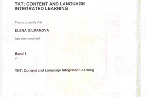 Диплом / сертификат №3 — Гильманова Елена Владимировна