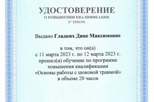 Диплом / сертификат №5 — Гладких Дина Максимовна