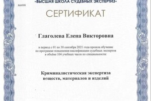 Диплом / сертификат №2 — Глаголева Елена Викторовна