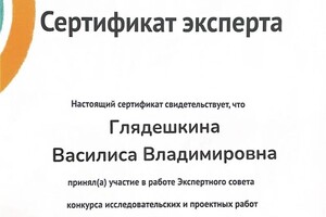 Диплом / сертификат №17 — Глядешкина Василиса Владимировна