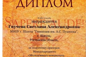 Подготовка учеников — Гнучева Светлана Александровна