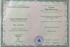 Диплом / сертификат №1 — Годнева Нина Васильевна