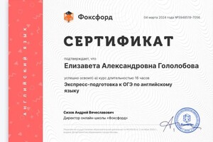 Диплом / сертификат №3 — Гололобова Елизавета Александровна