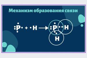 Примеры слайдов из презентаций к занятиям — Горбунова Ирина Дмитриевна