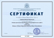 Диплом / сертификат №106 — Губарева Наталья Рашитовна