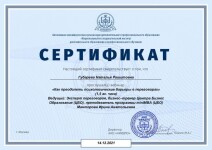 Диплом / сертификат №110 — Губарева Наталья Рашитовна