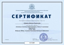 Диплом / сертификат №112 — Губарева Наталья Рашитовна