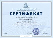 Диплом / сертификат №121 — Губарева Наталья Рашитовна