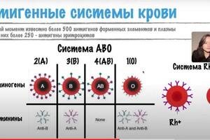 Кусочек из занятия — Гудратова Элиза Гайгысызовна