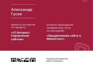 Диплом / сертификат №9 — Гусев Александр Анатольевич