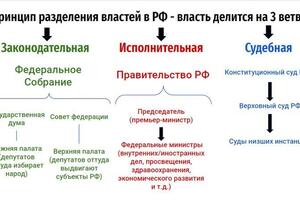 3 ветви власти в РФ; хороший ученик понимает, что законодательная власть - это не только \