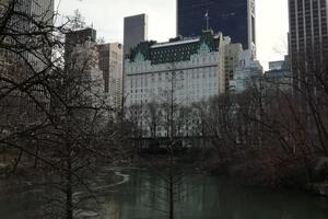 Central Park, New York — Хабарова Екатерина Николаевна