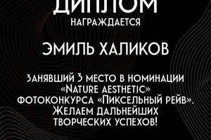 Диплом / сертификат №5 — Халиков Эмиль Вячеславович