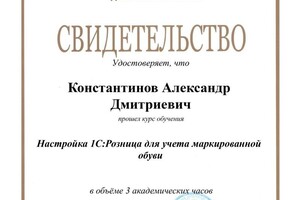 Диплом / сертификат №6 — Хаустов Егор Олегович