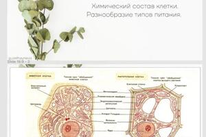 Пример оформления материалов — Хайриева Гузель Ирековна