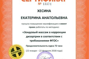 Диплом / сертификат №24 — Хесина Екатерина Анатольевна