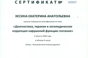 Диплом / сертификат №25 — Хесина Екатерина Анатольевна