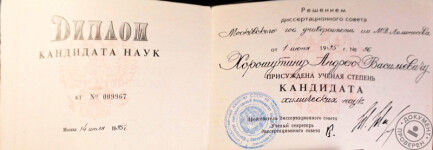 Диплом кандидата химических наук (1995 г.) — Хорошутин Андрей Васильевич