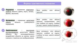 Презентация по обществознанию (человек и общество) — Хропова Мария Александровна