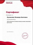 Диплом / сертификат №8 — Хусаинова Эльвира Гайжылахатовна