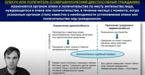 Скриншот видеоурока по теме Правоспособность и дееспособность — Исламов Дамир Римович