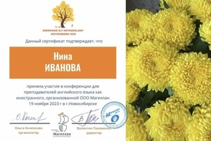 Диплом / сертификат №3 — Иванова Нина Сергеевна