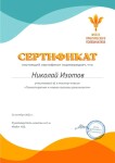 Диплом / сертификат №11 — Изотов Николай Игоревич