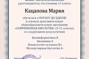 Диплом / сертификат №7 — Кацапова Мария Алексеевна