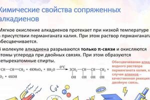 Портфолио №2 — Камайкина Виктория Михайловна