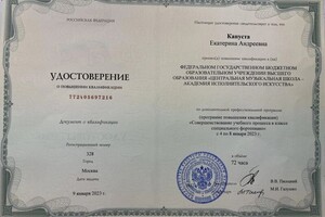 Диплом / сертификат №2 — Капуста Екатерина Андреевна