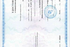 Диплом / сертификат №13 — Карпова Анастасия Артемовна