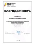 Диплом / сертификат №4 — Кичатов Виталий Викторович