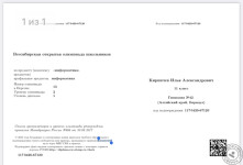 Абсолютный победитель всесибирской олимпиады — Кирпичев Илья Александрович