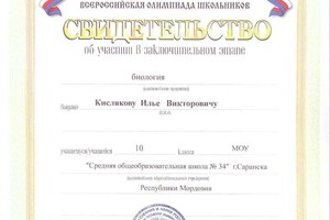 Диплом / сертификат №24 — Кисляков Илья Викторович