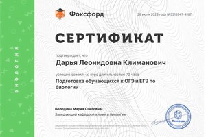 Диплом / сертификат №2 — Климанович Дарья Леонидовна
