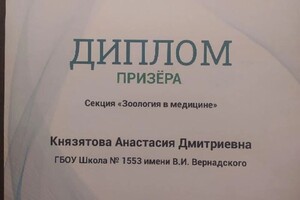 Диплом / сертификат №9 — Князятова Анастасия Дмитриевна